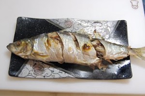 Herring Grilled Nishin