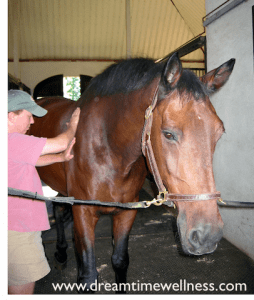 Robinson Relaxing with Reiki