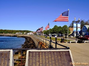 Flags at Stacey Blvd