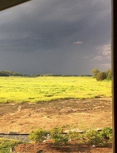 Storm on the Horizon