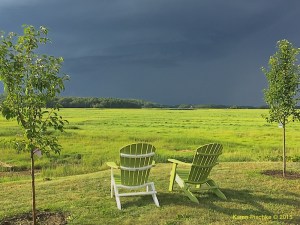Waiting for the Storm to Pass