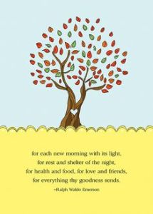 Gratitude Tree 40f31d1f4b765d68a0b3e3edeef86859