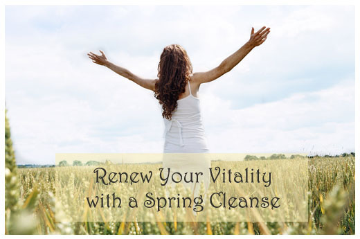 Spring Renewal Cleanse&nbsp;~