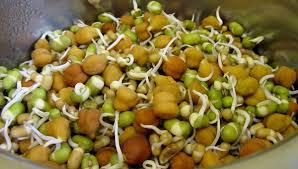 Sprouts Salad ~