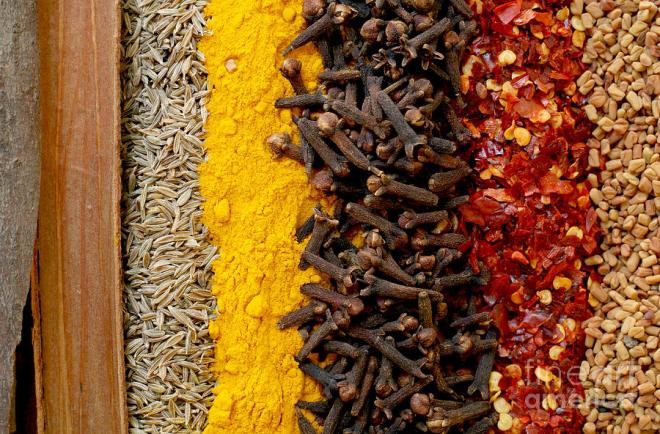 indian-spices-paul-cowan