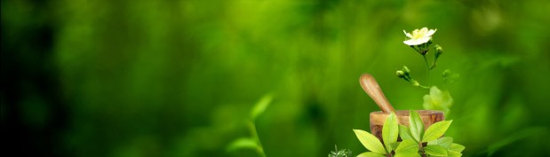 Ancient is the New&nbsp;New…