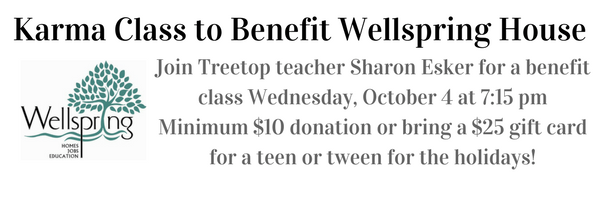 Karma Class to Benefit Wellspring House-4
