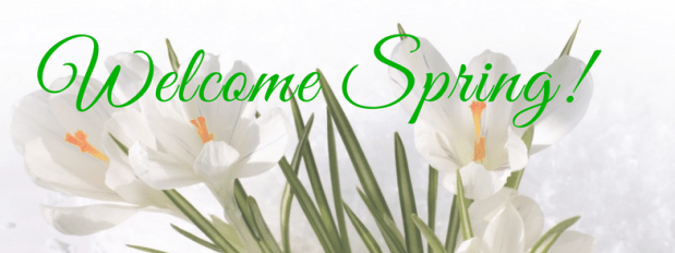 Welcome Spring with this Special Yoga&nbsp;Class!