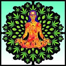 Curious about Cannabis!?THIS&nbsp;FRIDAY…