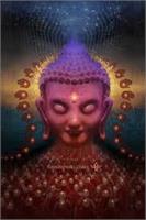 New Moon Yoga Nidra&nbsp;~