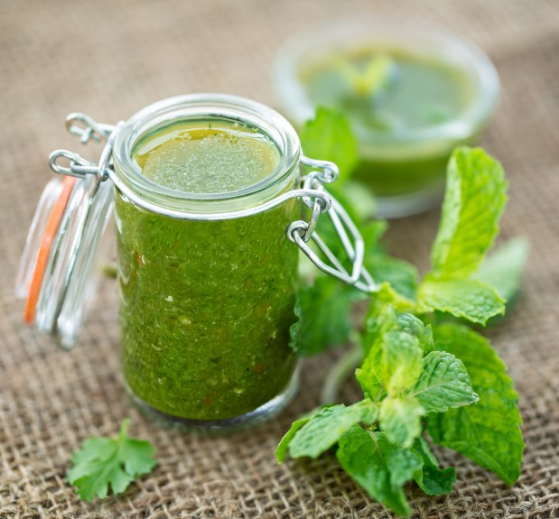 Cilantro Mint Chutney&nbsp;~