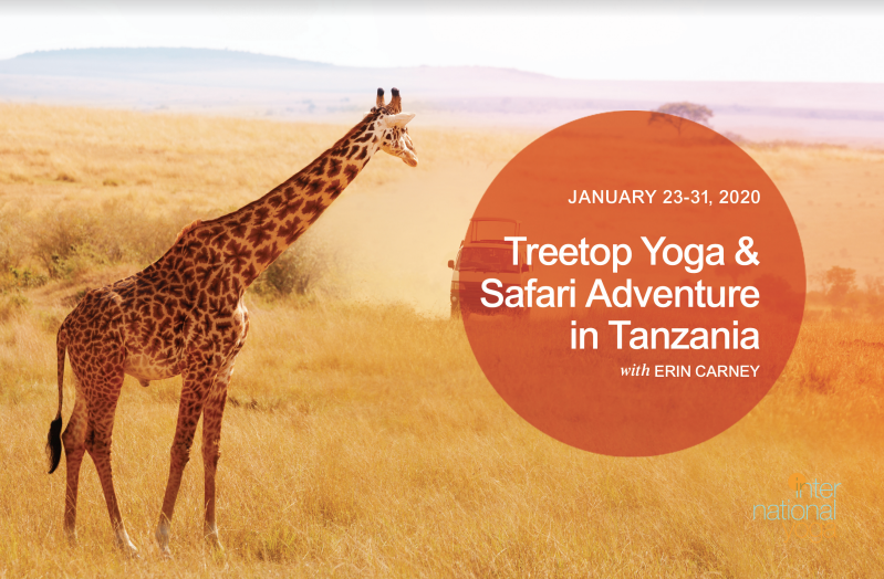 Screen Shot 2019-05-13 at 7.27.19 AM