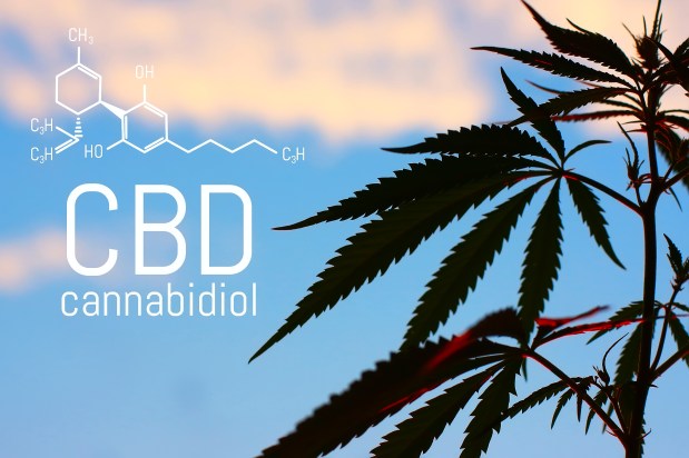 Free CBD Seminar