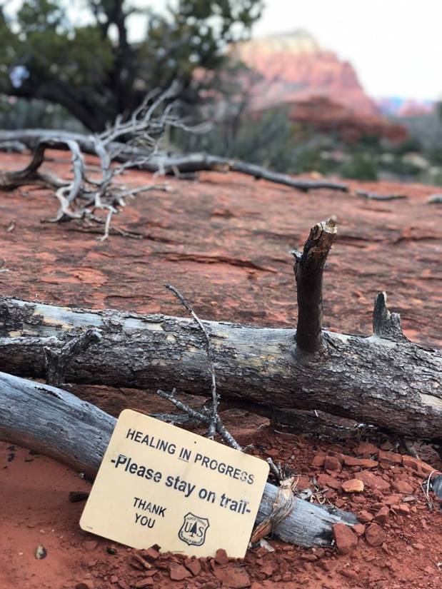 We are all “little” Miracles…