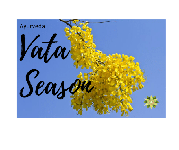 Fall is Vata Season&nbsp;~