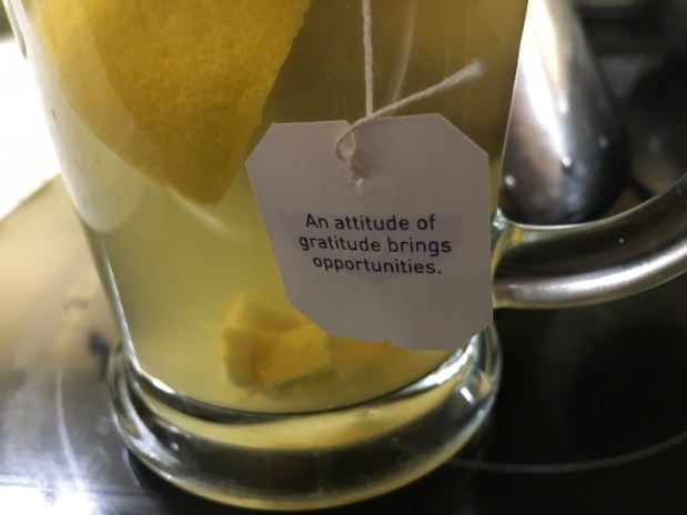 Practicing Gratitude, Counting&nbsp;Blessings