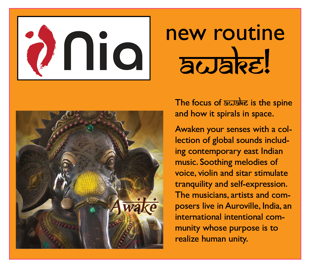 nia  awake flyer shout out graphic.jpg