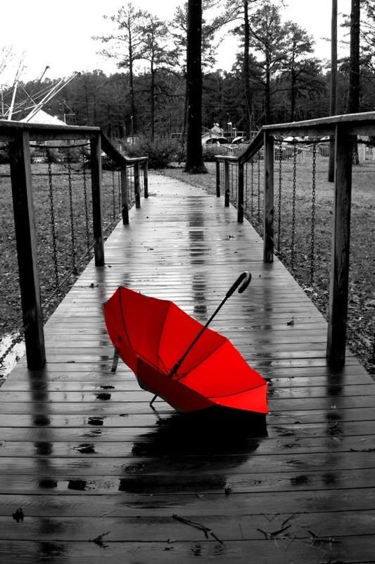 The Red Umbrella&nbsp;~