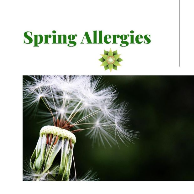 Spring Allergies ~