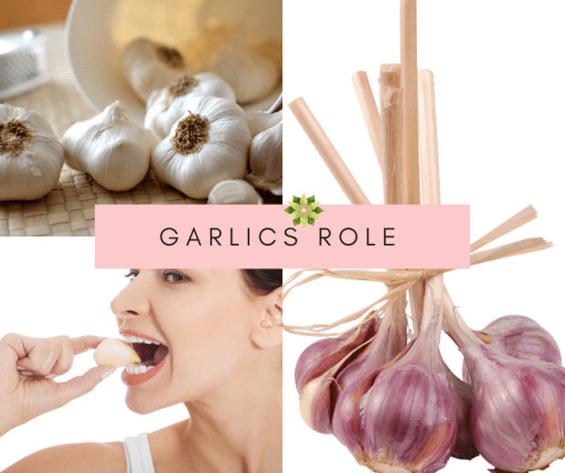 Garlics Role ~