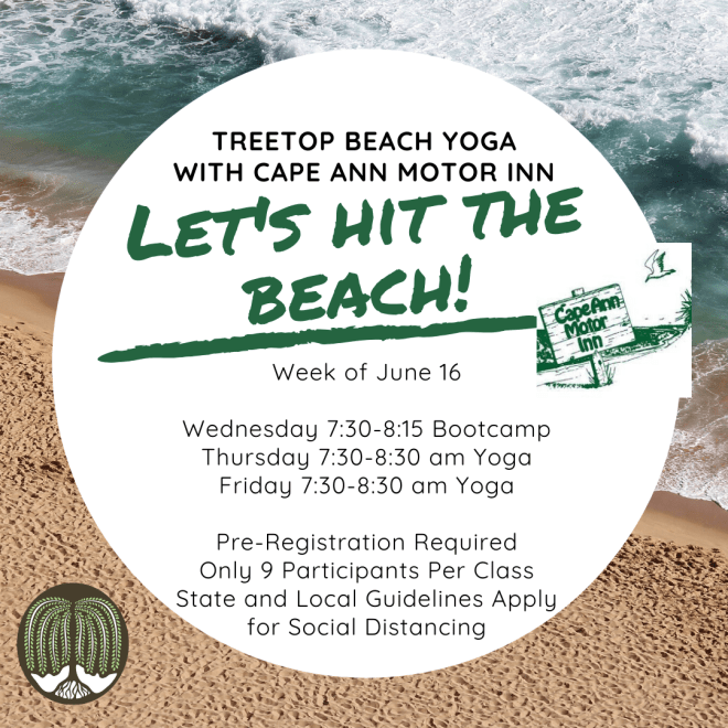 Treetop Beach yoga-4